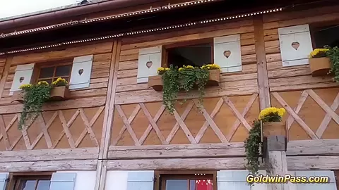 deepthroat girls in groupsex orgy