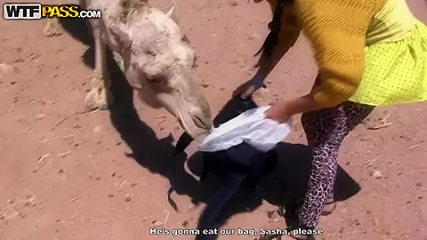 Girl gives blow and handjob to her boyfriend