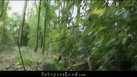 Forest Serf Hunting