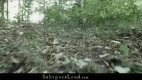 Forest Serf Hunting
