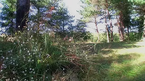 Elisse & Octavia & Liana & Lola & Raffaella & Vlaska in lesbian outdoor young sex video