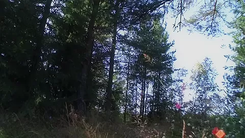 Elisse & Octavia & Liana & Lola & Raffaella & Vlaska in lesbian outdoor young sex video