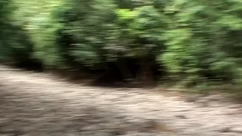 Anne in outdoor sex scene with a lovely-looking babe