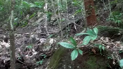 Anne in hottie gives an awesome blowjob in an outdoor porn vid