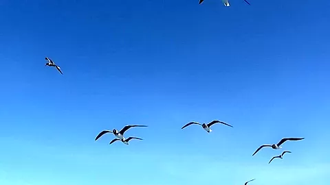Aprilia & Lexxis & Zuzka in slut gets fucked hard in this shower sex video