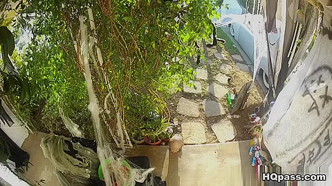 MoneyTalks - On the hunt