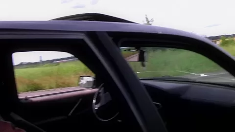 Vlaska in good-looking girl giving a blowjob in the car