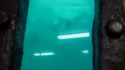 Eva in amateur girl wore xxx stockings while riding a pecker