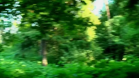 Jocelyn in amateur video shows a hot vixen giving a blowjob