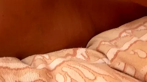 Chubby Blonde Chick Likes Filling Her Pussy With Her Lover's Big Rod