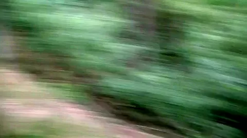 Ella in amateur video showing an outdoor blowjob