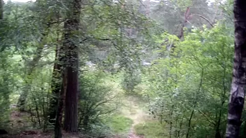 Ella in amateur video showing an outdoor blowjob