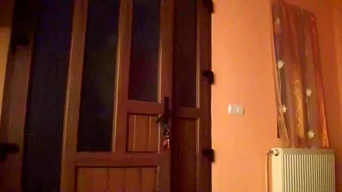Anka in amateur video showing a cute couple porn scene