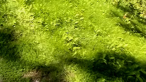 Krystinka in homemade porn with a bj and hard fuck in a forest