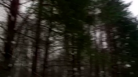 Emmy in hot couple fucking passionately in nature