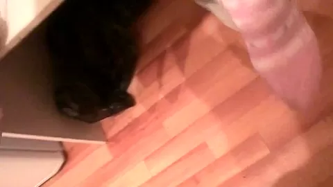 Nickel in sex tape video showing a hottie licking a cock