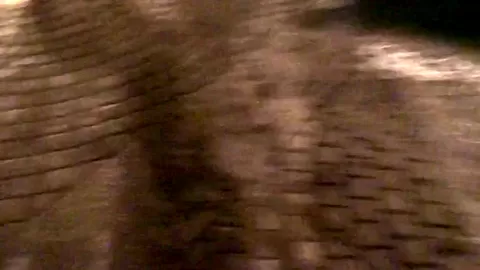 Nickel in hardcore scene in a lusty homemade sex video