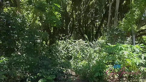 Teen Lola Really Wants To Suck Some Cock