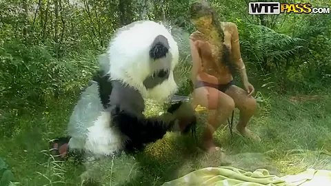 Molly is fucked by a horny panda right in the woods