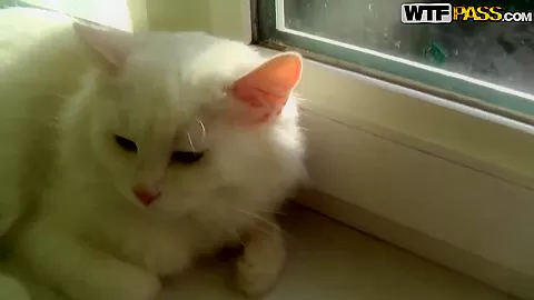 Amateur brunette gagging on a long white pecker