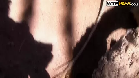 Tourists wanted to have some extreme during their vacation
