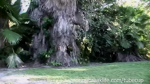 SpringBreakLife Video: Masturbating In Public