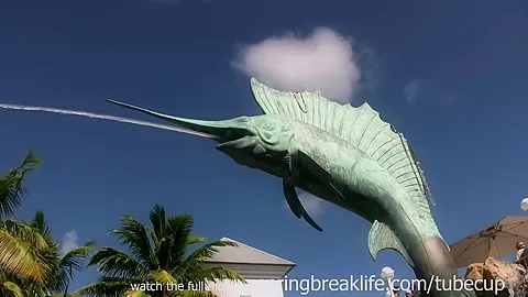 SpringBreakLife Video: Wild Pool Party