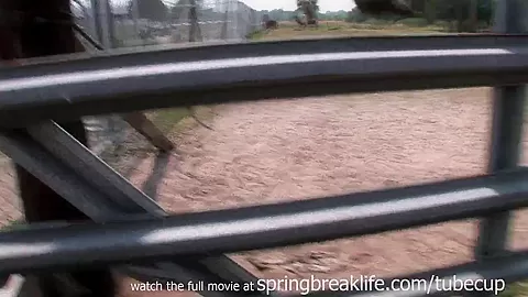 SpringBreakLife Video: Naked Farm