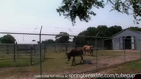 SpringBreakLife Video: Naked Farm