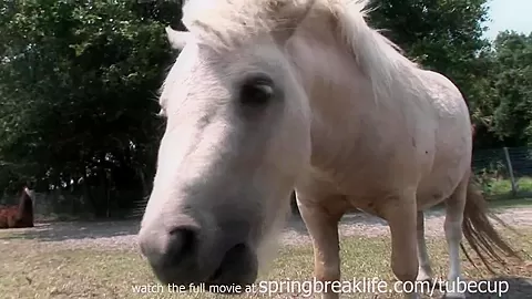 SpringBreakLife Video: Naked Farm