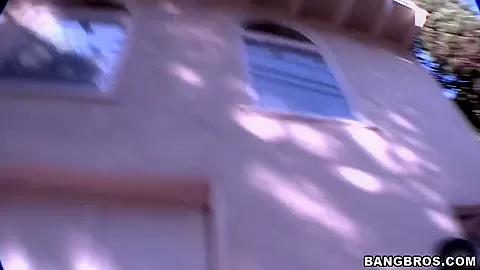 Nice three babes came to have some fuck