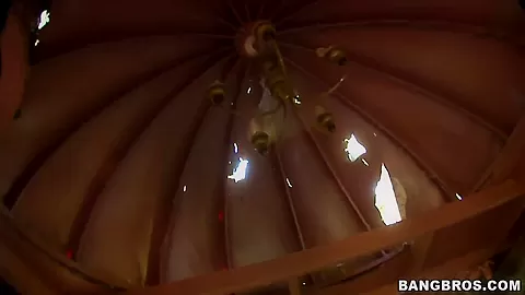 Hot blonde gives a head in house on a tree