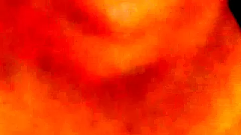 Brunette teen with amazing natural tits gives a nice blowjob in pov
