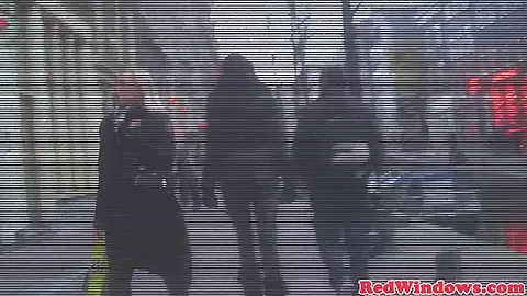 Dutch whore blows client and receives oral