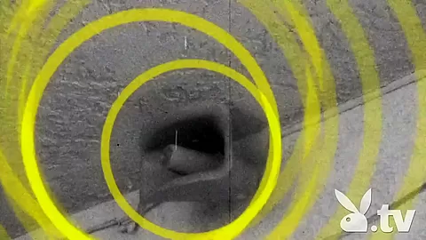 Horny pornstar in Hottest Reality, Big Tits adult movie