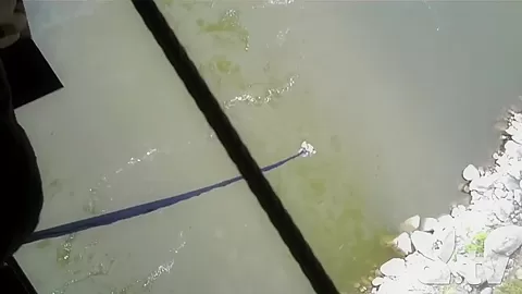 Horny pornstar in Hottest Reality, Big Tits adult movie