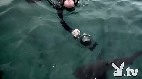 Horny pornstar in Hottest Reality, Big Tits adult movie