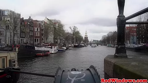 Mature amsterdam prostitute gets doggystyled