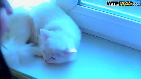 Amateur girl gives blowjob to her boyfriend