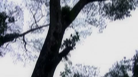 Amazing pornstar in Incredible Blonde, Public sex video