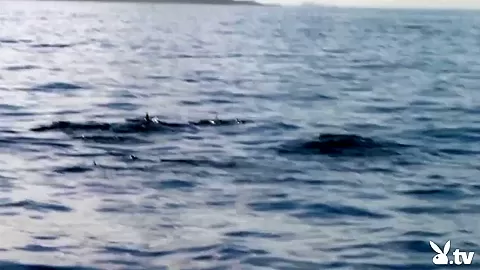 Hottest pornstar in Best Big Tits, Reality xxx scene