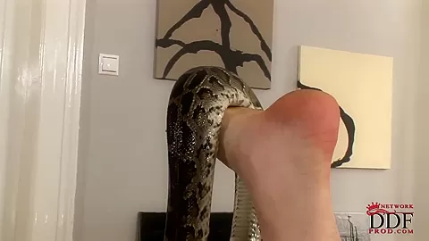 Naked hottie is posing with her big snake