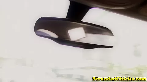 Robbed stranded beauty blows driver
