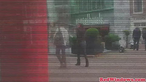 Chubby dutch hooker gets doggystyled