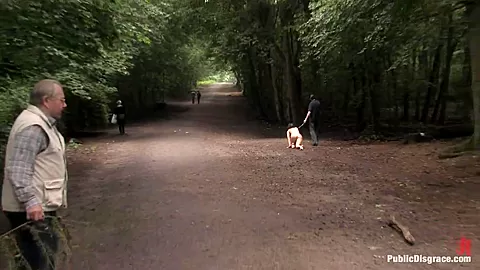 The Dog Walk