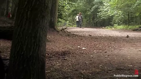 The Dog Walk