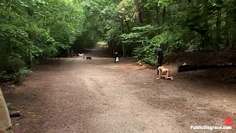 The Dog Walk
