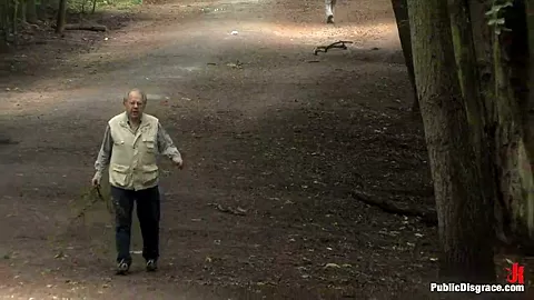 The Dog Walk