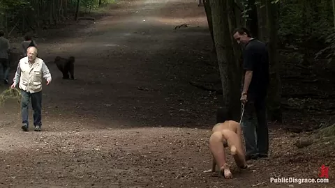The Dog Walk