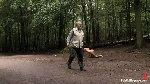 The Dog Walk